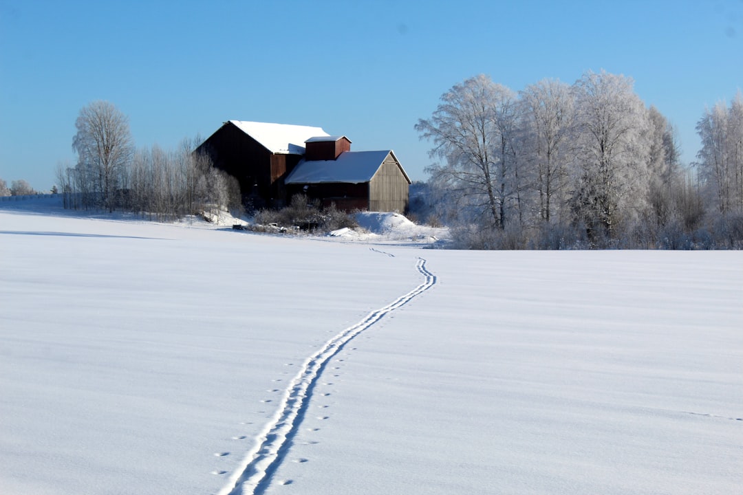 Photo Snowy landscape